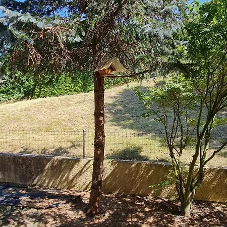 T2 55m² Confort Avec Jardin. Cuisine Et Equipements Neufs. Wifi Tv Parking Apartment