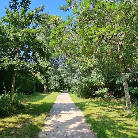 Apartmán T2 55m² Confort Avec Jardin. Cuisine Et Equipements Neufs. Wifi Tv Parking Balma