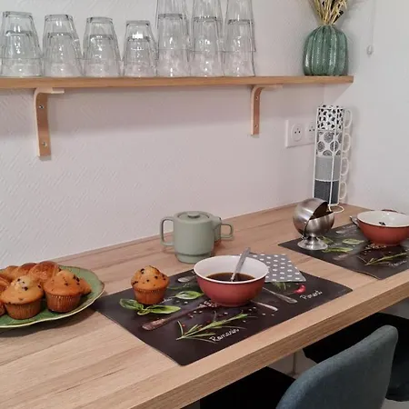 T2 55m² Confort Avec Jardin. Cuisine Et Equipements Neufs. Wifi Tv Parking Balma