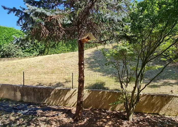 T2 55m² Confort Avec Jardin. Cuisine Et Equipements Neufs. Wifi Tv Parking 公寓