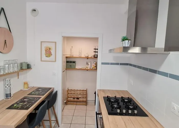 公寓 T2 55m² Confort Avec Jardin. Cuisine Et Equipements Neufs. Wifi Tv Parking *