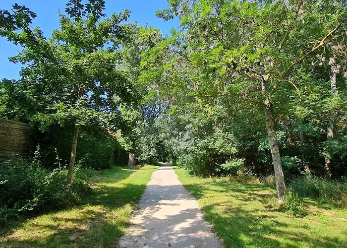 公寓 T2 55m² Confort Avec Jardin. Cuisine Et Equipements Neufs. Wifi Tv Parking 巴尔马