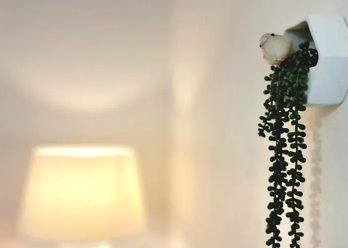 公寓 T2 55m² Confort Avec Jardin. Cuisine Et Equipements Neufs. Wifi Tv Parking *