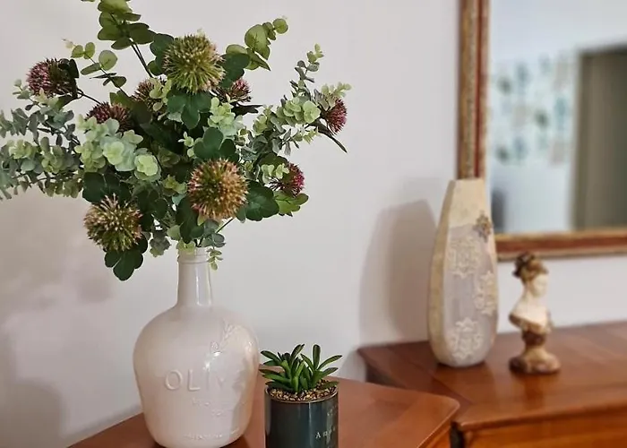 公寓 T2 55m² Confort Avec Jardin. Cuisine Et Equipements Neufs. Wifi Tv Parking